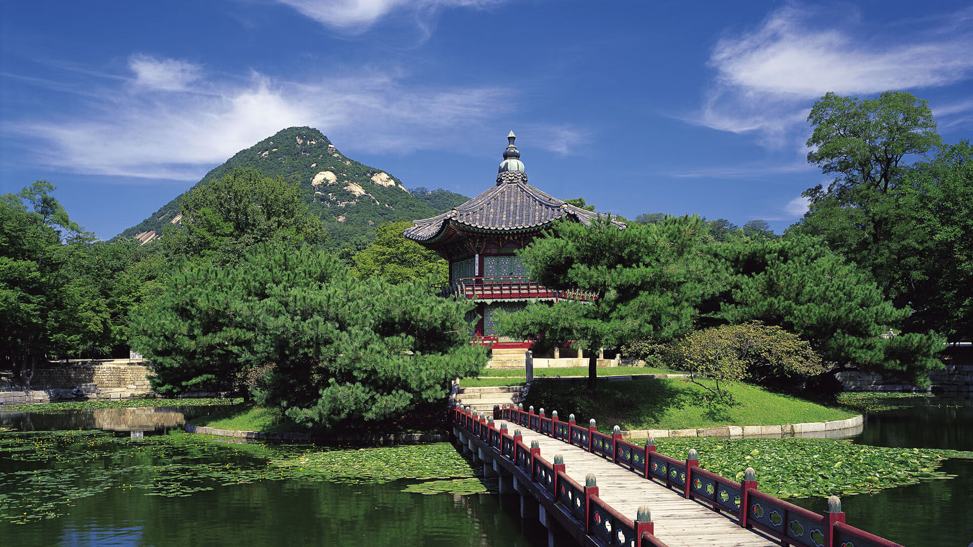 广场舞推动中国文化走向世界，中国舞文化的推广